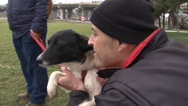 Adoptaţi câinele şi va fi dresat gratuit