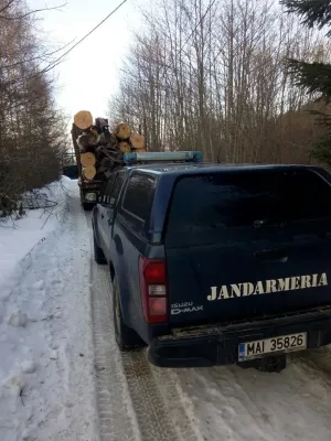 Amenzi de 15.000 de lei pentru furturi de lemne
