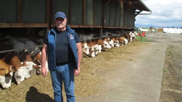 Un fermier din Covasna, care vinde lapte la dozator în pieţele braşovene, a exportat vaci de 500.000 de euro anul trecut 