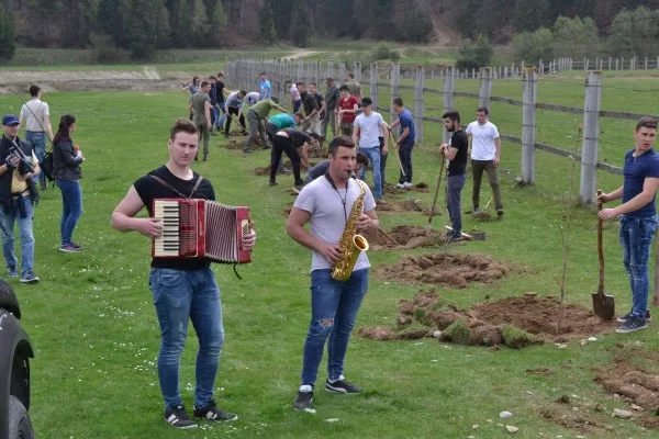 Plantare „cu cântec” pe Aleea Castanilor