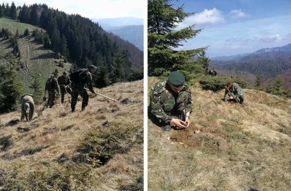 „Pădurea Centenar”, plantată ieri la Diham: 10.000 de arbori, cu 100 de militari, la 100 de ani de la întregirea neamului