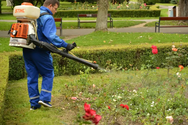 Azi începe prima acţiune de combatere a căpuşelor în parcurile şi locurile de joacă din Braşov
