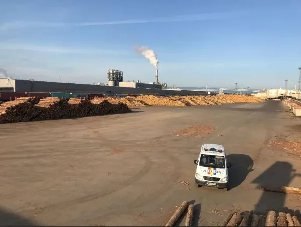 Dosarul Holzindustrie Schweighofer: Percheziţii în Braşov şi alte cinci judeţe