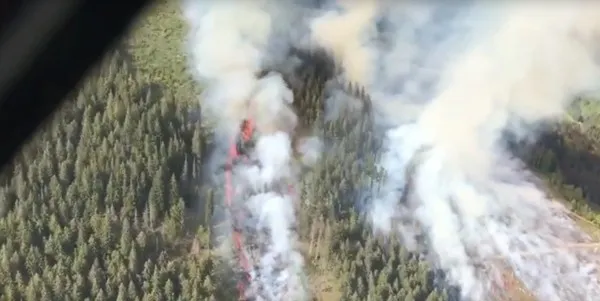 Incendiu puternic în Masivul Ciucaş, la Vama Buzăului