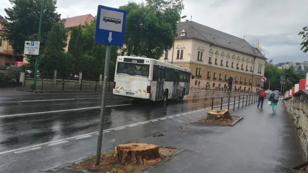 46 de arbori periculoşi în Braşov şi în Poiană