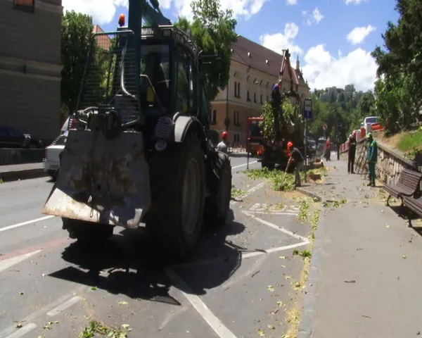 Braşovul, 5 ore sub cod galben de vânt. Copaci doborâţi, unul chiar peste un autobuz