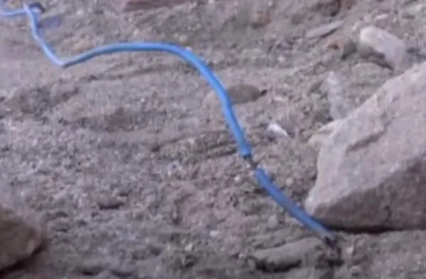Tragedie la Apaţa: Fetiţă de doi ani a murit electrocutată sub ochii tatălui