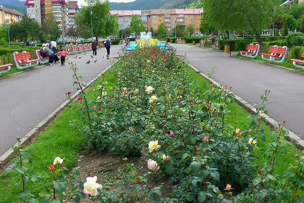 Parcul din Răcădău păstrează şi vechiul nume