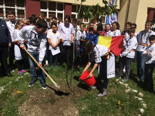 „Stejarul eroilor” a fost plantat ieri la Predeal