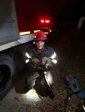 Intervenţie inedită la Predeal: Au salvat trei pui de câine, dintr-un canal de 80 de metri