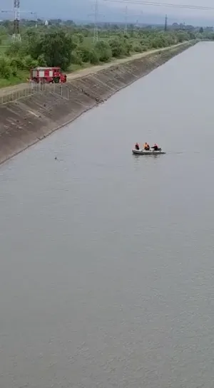 În Olt, după căprioară