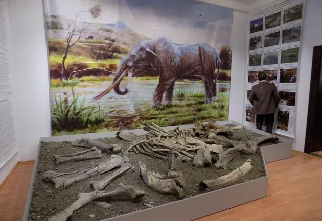 Mastodontul împrumutat de Dino Parc s-a întors la Baraolt