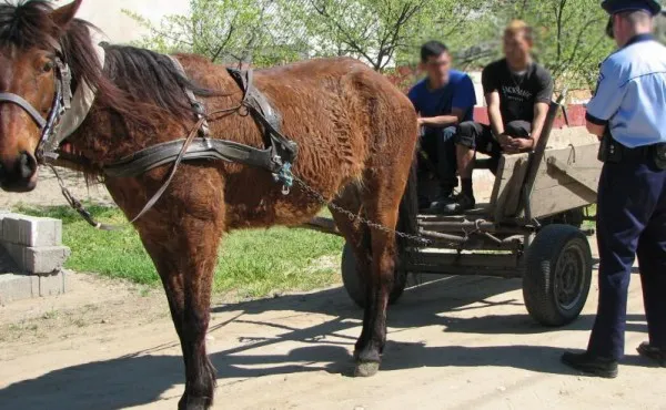A agăţat cu căruţa un copil de 6 ani şi a fugit, fără să se uite în urmă. Nu s-a întâmplat la ţară, ci pe străzile Braşovului