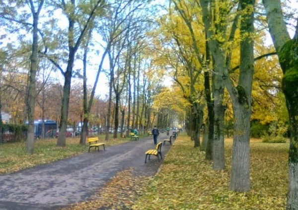 Cuţitar încătuşat de Poliţia Locală, în Parcul Tractorul