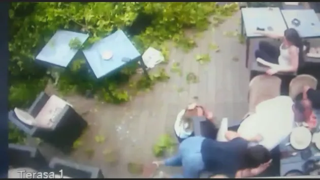 Au apărut imaginile cu arţarul care a „măturat” o terasă din Livada Poştei