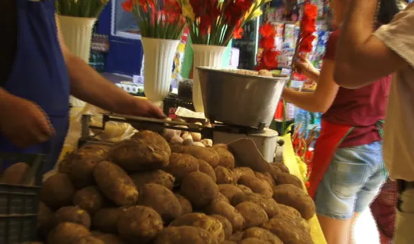Culmea agriculturii braşovene: am putea importa masiv cartofi!