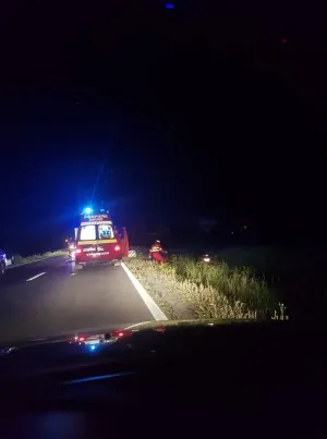 Șofer grav rănit după impactul cu un cal, la Lunca Câlnicului
