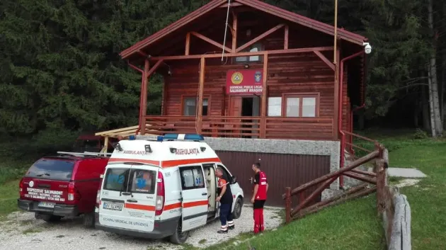 Din Poiană la spital, după o înţepătură de albină