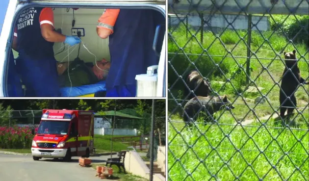 Atac la Grădina Zoologică: un urs aproape a omorât doi îngrijitori