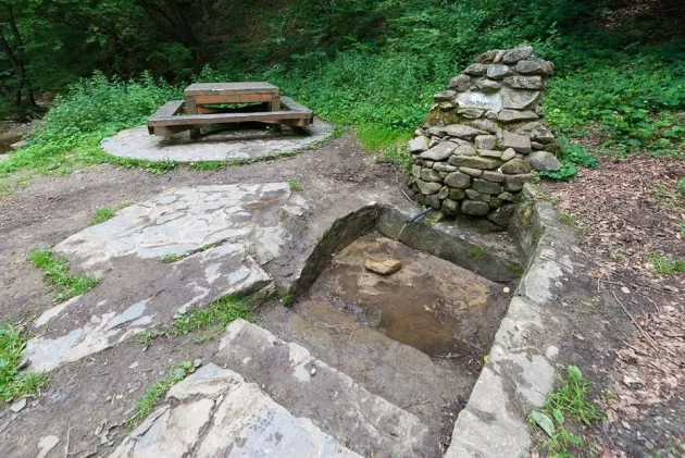 Ploile au stricat apa unui izvor de la Şugaş Băi