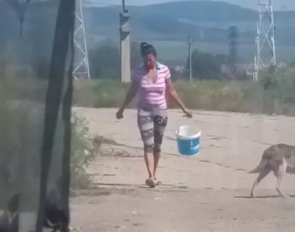 Amendată pe baza unui clip postat pe Facebook