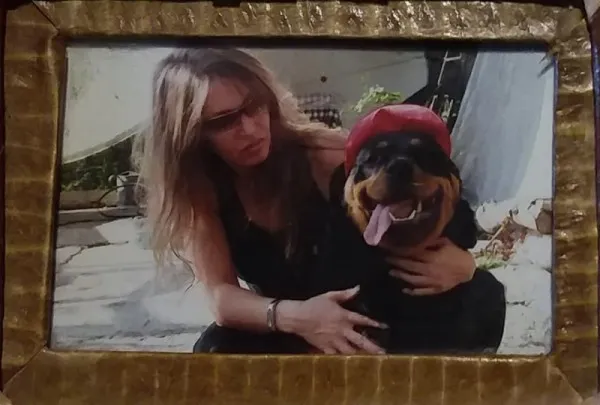 Când Nebunu îţi schimbă viaţa