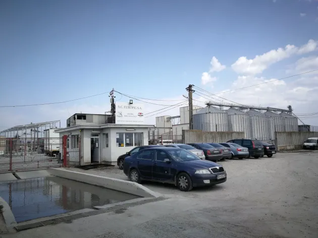 Angajaţii celei mai mari ferme de porci din Braşov nu mai au voie să crească porci acasă
