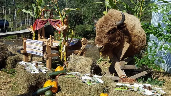 Comuna Vama Buzăului ar putea deveni staţiune turistică de interes local 