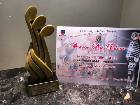 Se caută talente în muzica uşoară şi cea populară