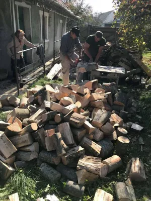 Jandarmii i-au tăiat lemnele unei bătrâne de 100 de ani