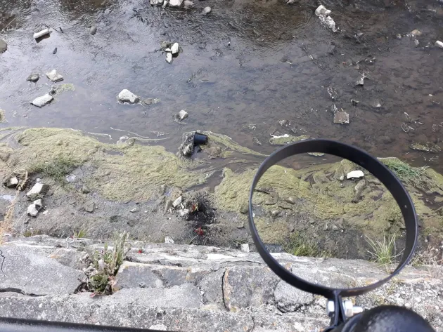 Ghivece cu flori, aruncate în pârâu
