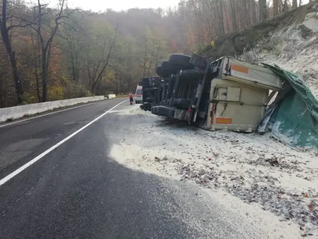 Mălai pe jos în Pădurea Bogăţii
