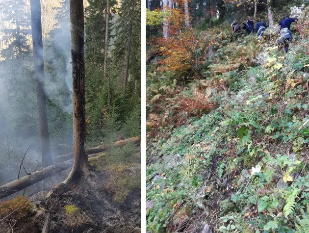 Incendiu în Munţii Făgăraşului, la 1.500 de metri altitudine. Apa, cărată cu vermorelul de 20 litri