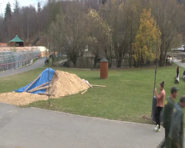 În curând, la Braşov: pinguini Humboldt, lei de mare şi foci, vieţuitoare care nu mai pot fi văzute în alte locuri din România