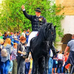Junele tânăr Constantin Chicuş jr. a fost „mustrat” de cei mai bătrâni
