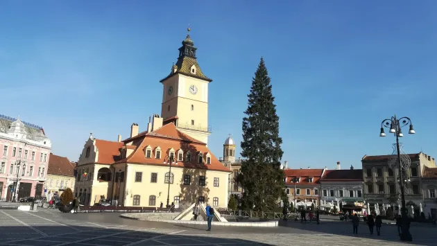 Cel mai înalt brad. Are 31 de metri şi 70 de ani, fiind cel mai înalt brad al Crăciunului de la Braşov, din ultimii ani