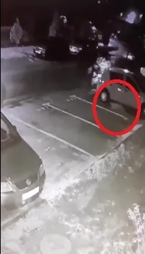 Vulpea, din nou pe străzile Făgărașului