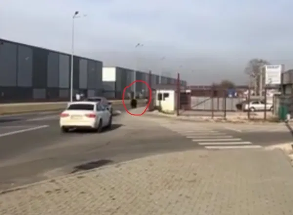 Urs pe străzile Brașovului. În zona Turnului, apoi pe „Centură"