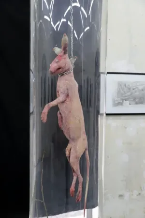 „Operă de artă”