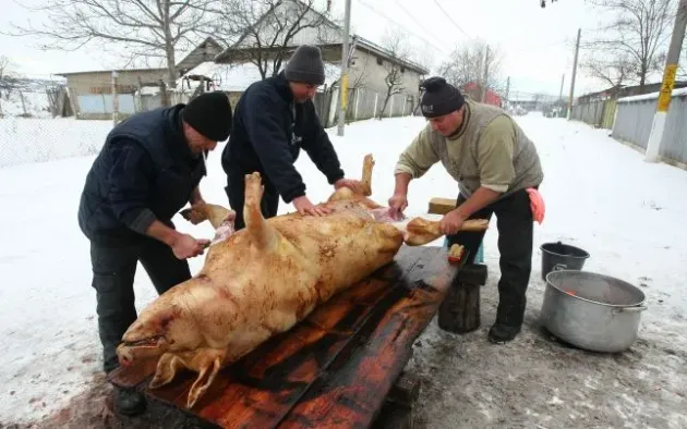 Ce ar trebui să faci azi, de Ignat