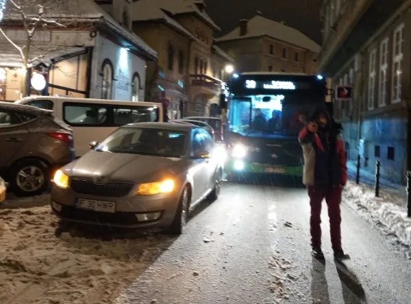 Un „bizon” a blocat un autobuz în trafic