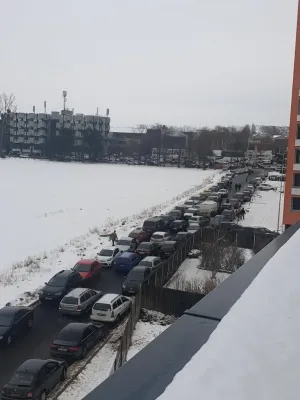Columbofilii au dat peste cap traficul în Tractorul şi au transformat străzile în parcări