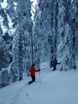 Schior salvat de la marginea prăpastiei
