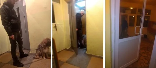 A fost depusă o nouă plângere împotriva lui Cepoiu, „ucigaşul de câini”