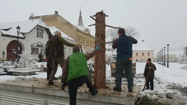 Bradul de Crăciun de la Râşnov va încălzi o familie de 11 persoane