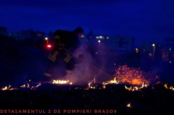 Incendiu pe Aleea Minerva: S-a „aprins” terenul viran de la calea ferată