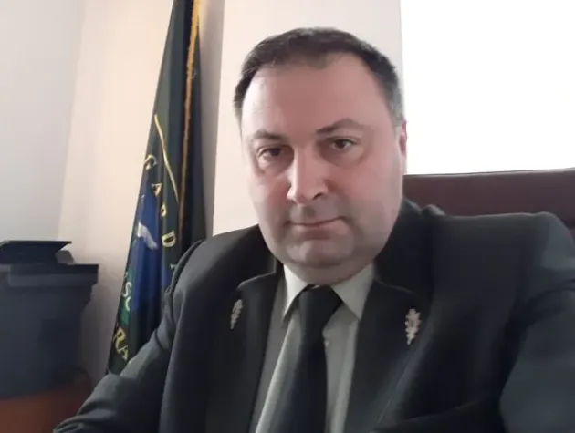 Peste 13.000 de metri cubi de lemn, tăiat ilegal, în 2018, în cinci judeţe din centrul ţării