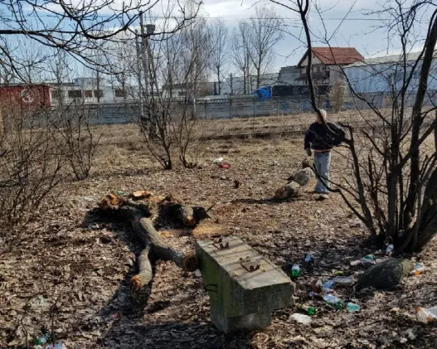 „Pădurari” de oraș: Au vrut să facă lemne de foc... din copacii din fața blocului