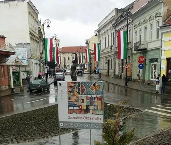 Primarii din Sfântu Gheorghe şi Odorheiu Secuiesc, amendaţi pentru că nu au arborat steagul României, de „Ziua Maghiarilor de Pretutindeni”