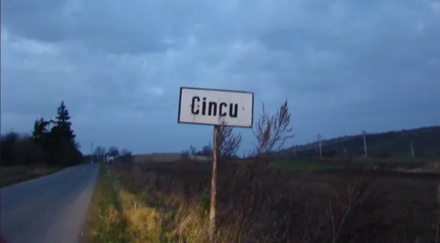 Şi-a ieşit din minţi 